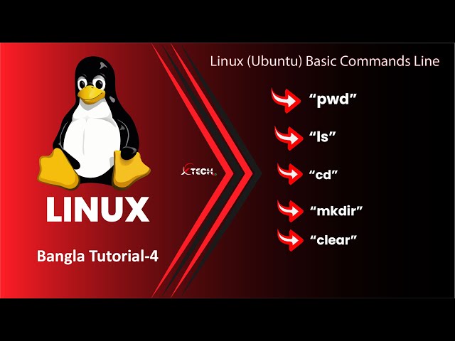 Linux Commands || Ubuntu (Linux) Basic Commands|| pwd,ls,cd,clear,mkdir command || T-4 ||XTECH BD