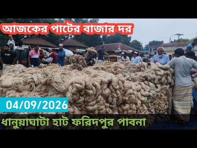 4 September 2026 আজকের পাটের বাজার দর। Jute market price rate in pabna Bangladesh 