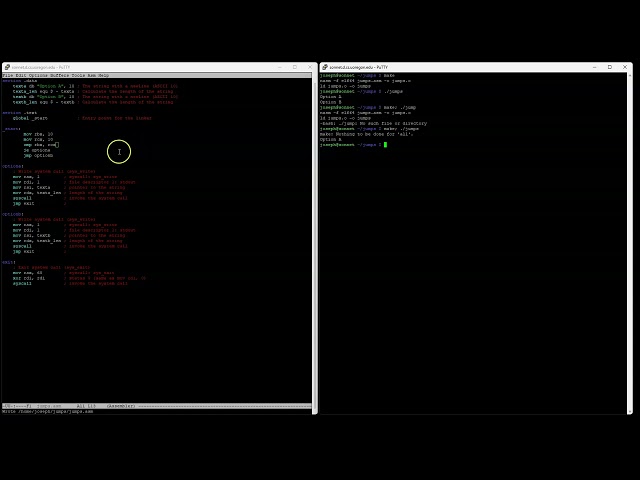 Jumps in Intel Assembly