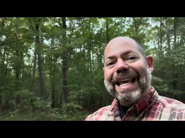 Nature Walk Wisdom - The World Needs Your Light!