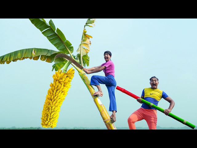 Trending Very Special Funny Comedy Video 😂Amazing Comedy Video 2026 Episode 369 Bidik Fun Tv