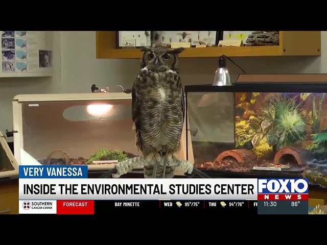 Inside the Environmental Studies Center