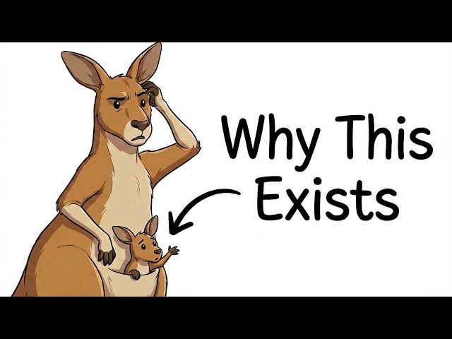 Why Do Kangaroos Have Pouches?