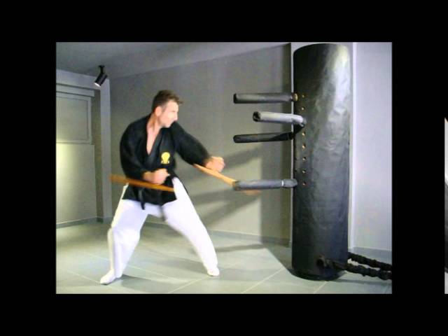 Dreametal kobudo - tonfa training