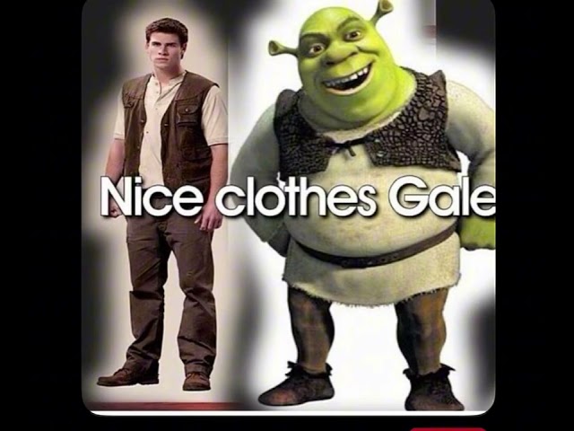Hunger games memes