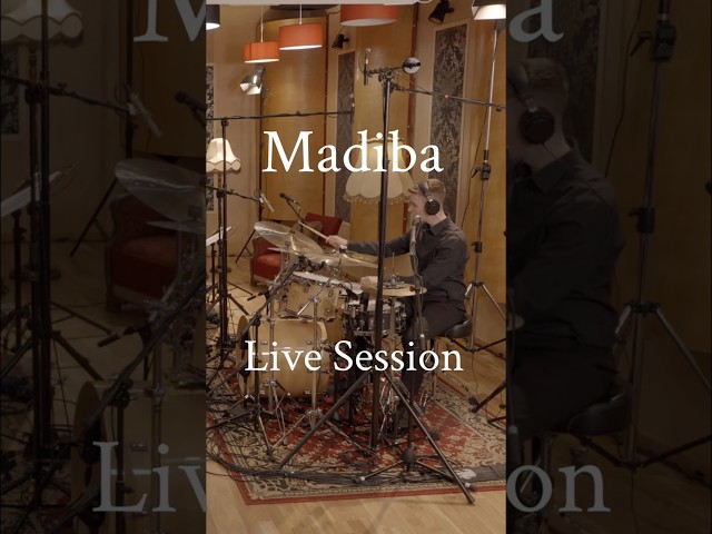 Madiba - Shaun Martin | Live Session #jazz #music #barczykdrums