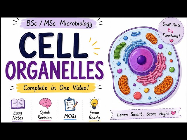 Cell Organelles Explained in 5 Minutes | The Mini City | BSc MSc Microbiology One Shot #science  