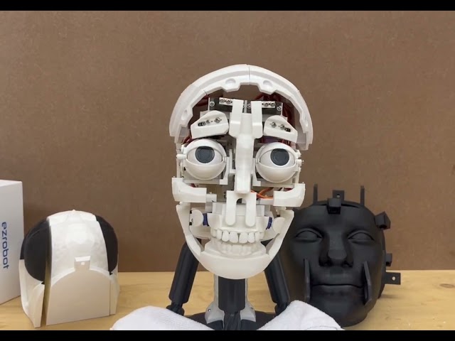 i2 InMoov head