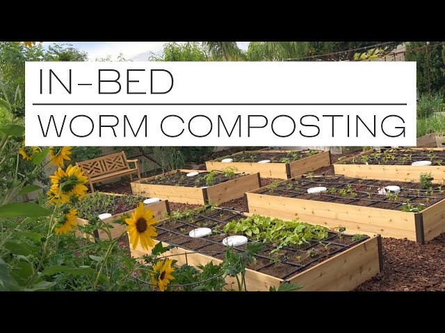 VERMICOMPOSTING the EASY way with IN-BED WORM COMPOSTING