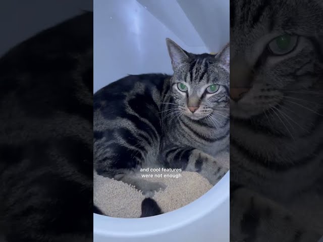 TESTING THIS NEW BOX OUT 🤔