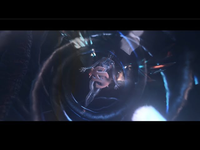 Intro SaithFX | by FlayFX ft. SaithFX