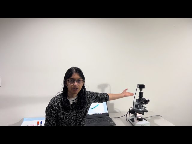 Learning to Use a Digital Microscope and Camera | Student Project