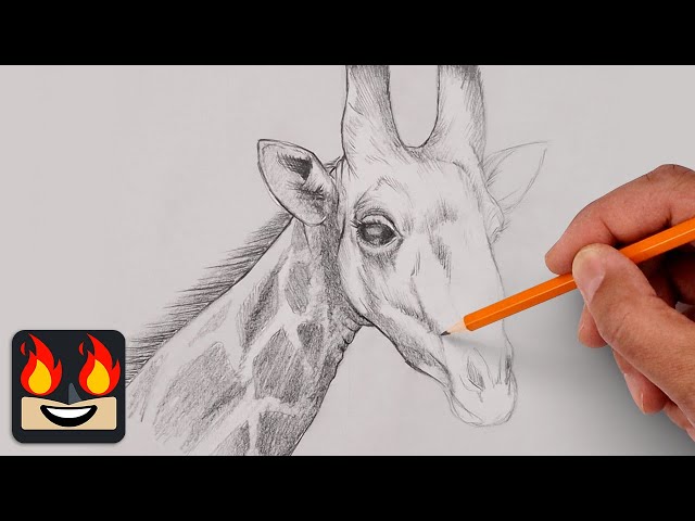 How To Draw a Giraffe | Sketch Tutorial