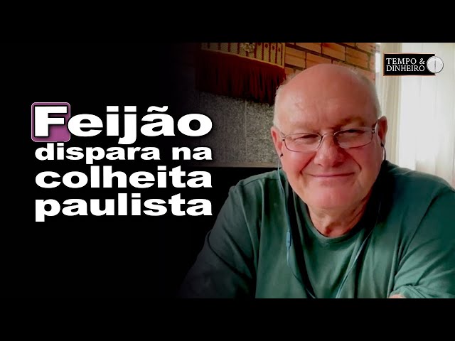 While Brazil hesitates, the bean harvest progresses in São Paulo.