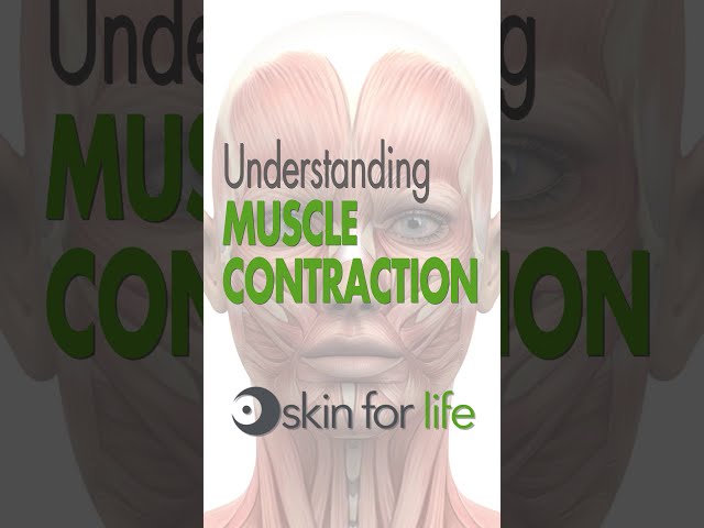 Understanding Muscle Contraction Using Microcurrent