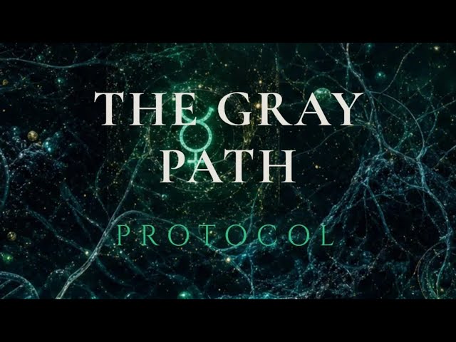 Gray Path: Evidence-informed practice- observation, calibration & self-correction. Phase 2 begins. 🌀