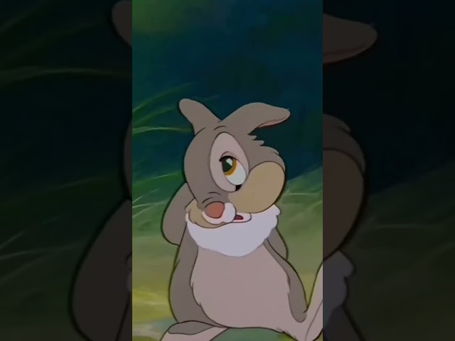 Here's a piece of advice by thumper 🐰🐇#thumper #bambi #goodvibes