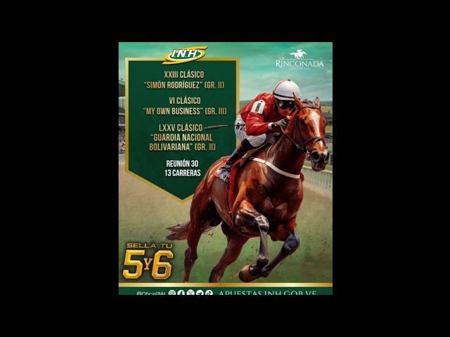 THE 5Y6 PICKS FOR SUNDAY 08/02/2026