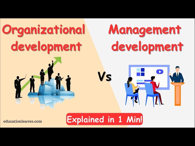 Organizational Development vs Management Development | Key Differences Explained Simply!
