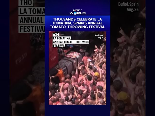 La Tomatina 2026: Thousands Turn Spain Town Red In Epic Tomato-Throwing Festival