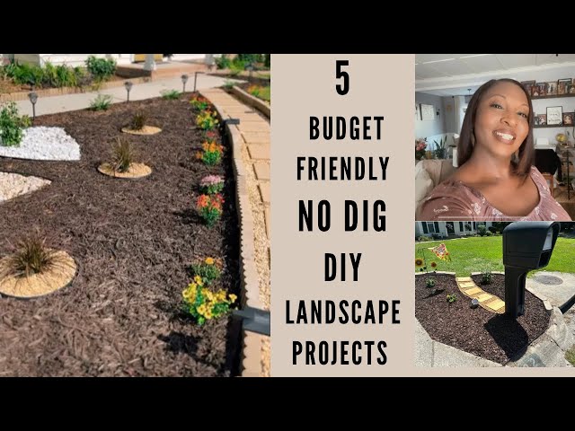 5 NO DIG Budget Friendly DIY Landscaping Projects|Spring 🌷Outdoor Makeovers