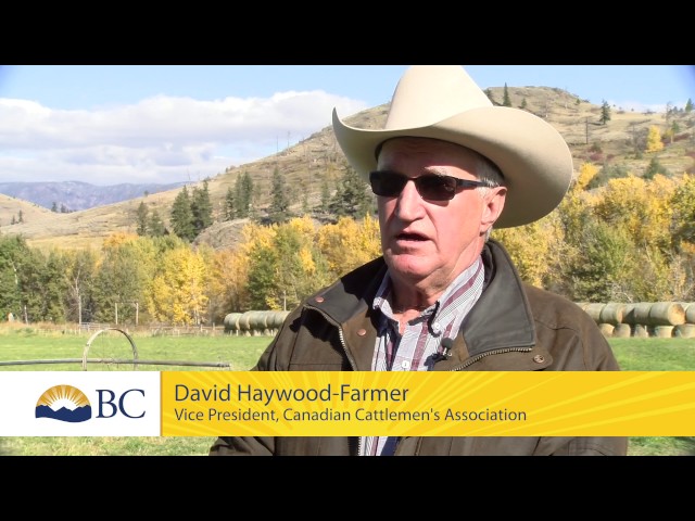 The importance of including AgriStability in your farm’s business plan