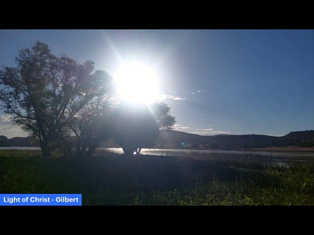 Morning Devotions 6/3/26: Matthew 5, Proverbs 3, Luke 18