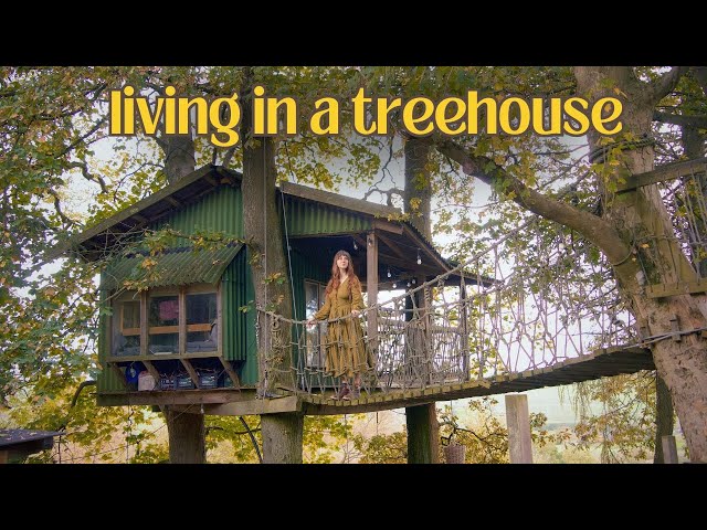 My Quiet Life Alone in a Treehouse