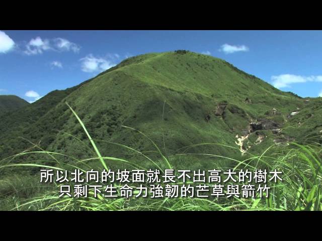 陽明山國家公園_冷水坑觀景台