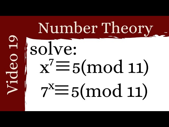 Applications of primitive roots -- Number Theory 19