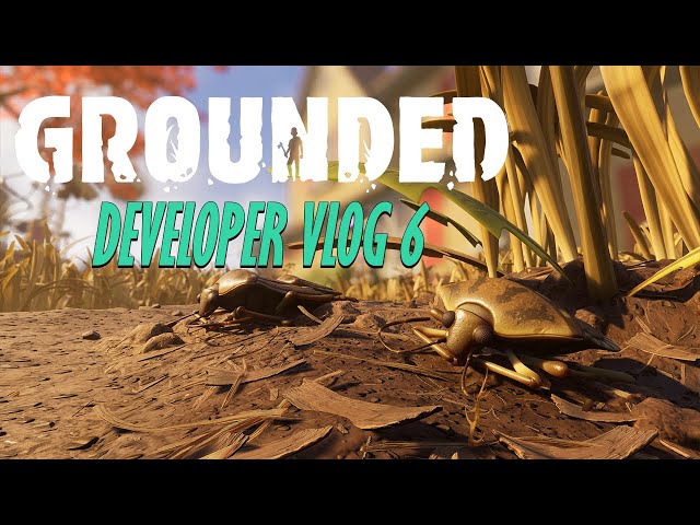 Grounded Developer Vlog 6 - A Day in the Life...