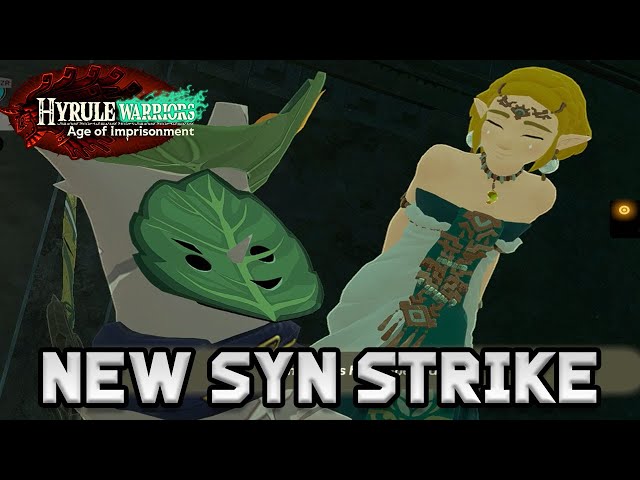 Hyrule Warriors Age of Imprisonment - Calamo & Zelda (New Unique Syn Strike)