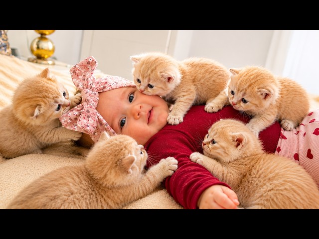 Baby Gets Attacked with Love by Tiny Kittens