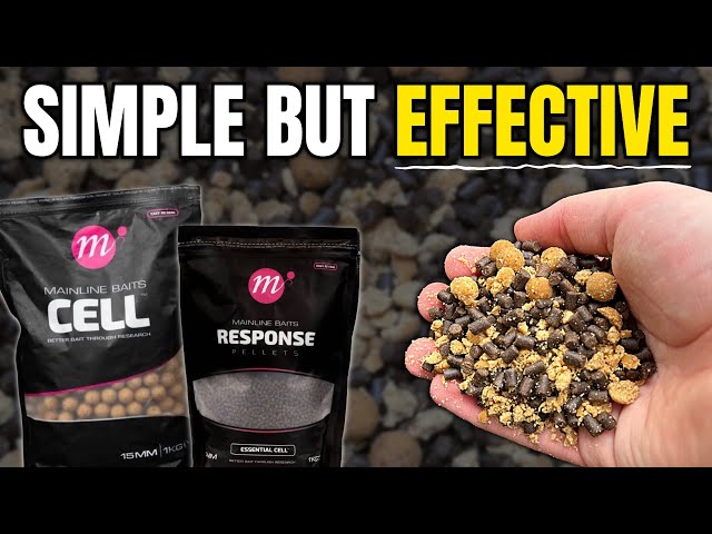 Simple but EFFECTIVE Carp Bait Mix
