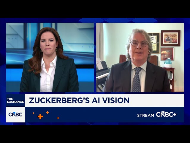 Meta is not well positioned in the AI race, says Elevation Partners' Roger McNamee