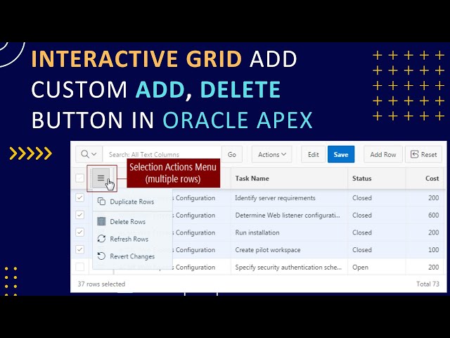 Oracle APEX Interactive Grid