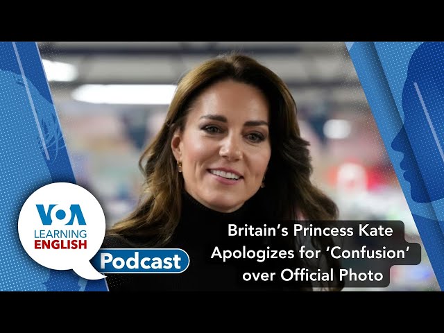 Learning English Podcast - Kate Photo, Gray Whales, Laboratory Organs