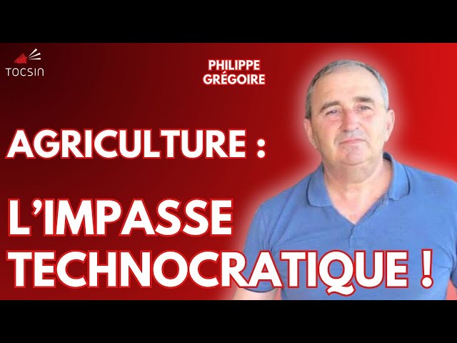 Bercoff sur le Vif 12/01 : Colère des agriculteurs : le souffle est-il retombé ?