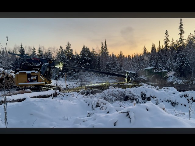 Inside of Northern Maine's Logging Industry