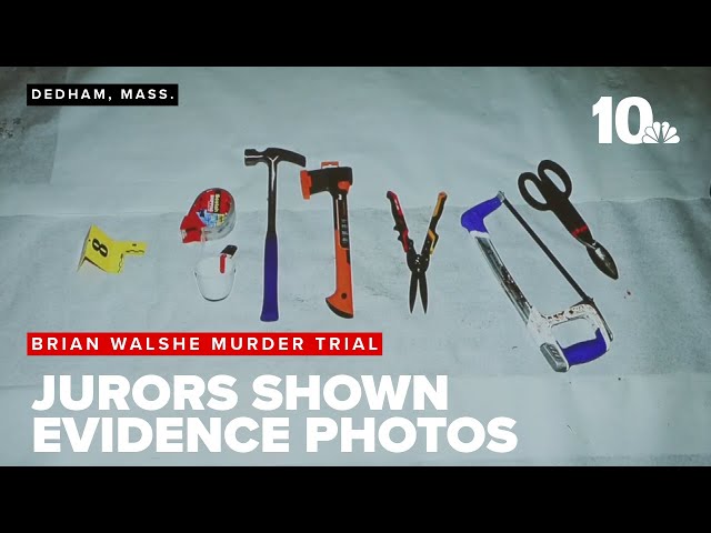 Jury in Brian Walshe murder trial hears from variety of witnesses