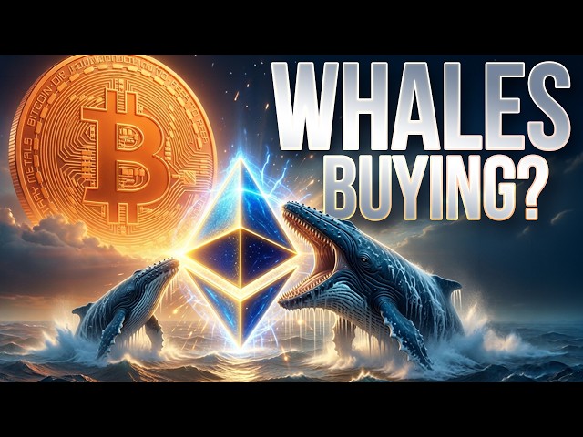 Institutional Buying Spree?📈Crypto Market Update