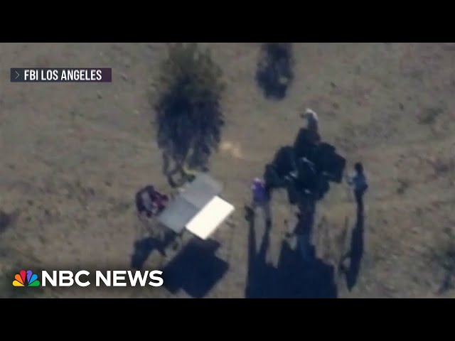 DOJ arrests four people in connection with New Year’s Eve terror plot