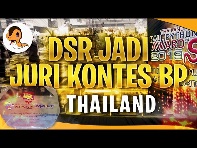 David Suarez Reptiles Jadi Juri di Kontes Ball Python Thailand