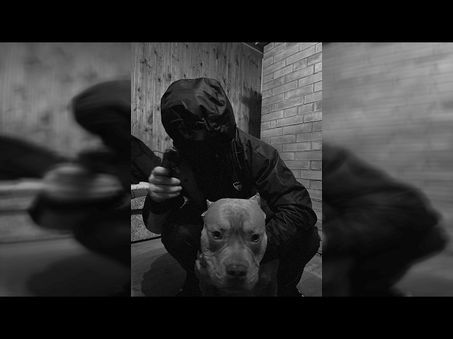 Freestyle Boom Bap Beat | "BACK DOWN" | Underground Boom Bap Instrumental Uso Libre | Prod.XXB