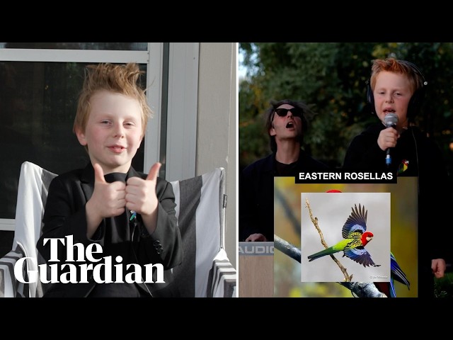 Seven-year-old explains the creative process behind viral song Eastern Rosellas