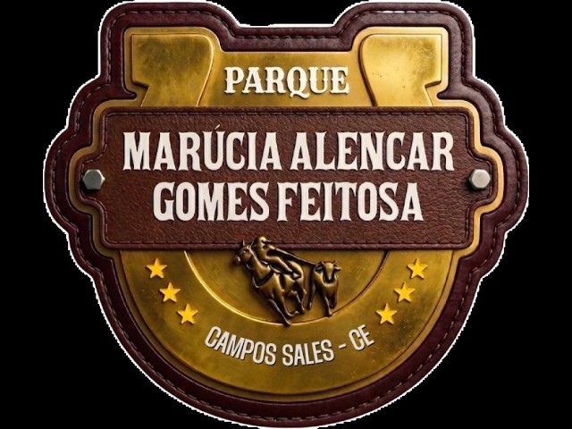 1º-VAQUEJADA DO PARQUE MARUCIA ALENCAR GOMES FEITOSA