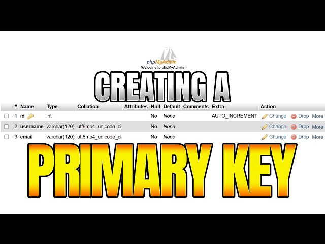 phpMyAdmin Primary Key for Beginners