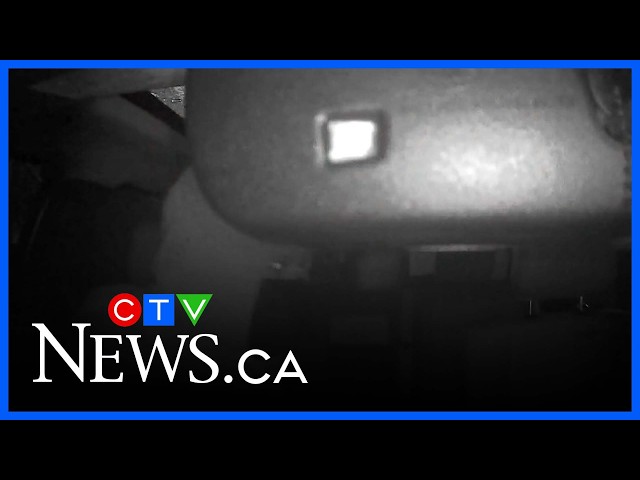 Auto thefts putting pressure on car insurance premiums, despite recent crackdown