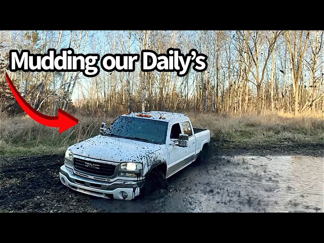 Mudding Our Daily’s