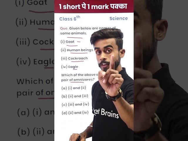 Which Animals Are Omnivores? - 1 Video 1 Mark पक्का in Exam (Class 6th) #shorts